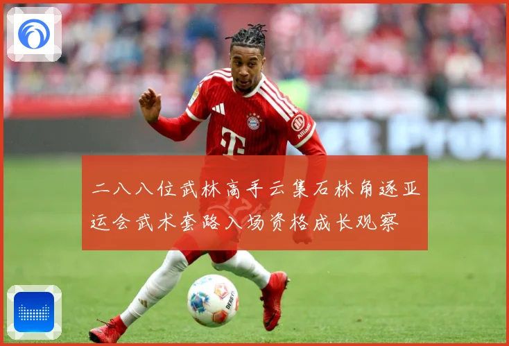 二八八位武林高手云集石林角逐亚运会武术套路入场资格成长观察