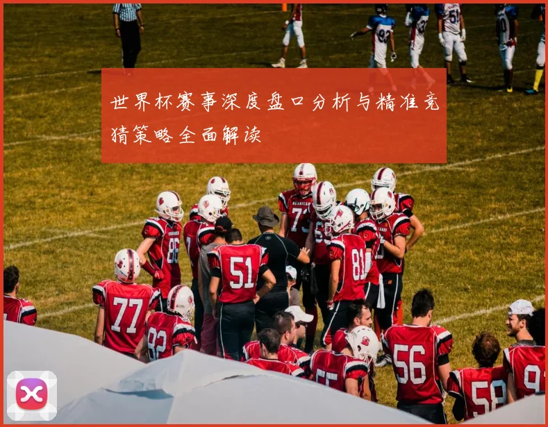 世界杯赛事深度盘口分析与精准竞猜策略全面解读