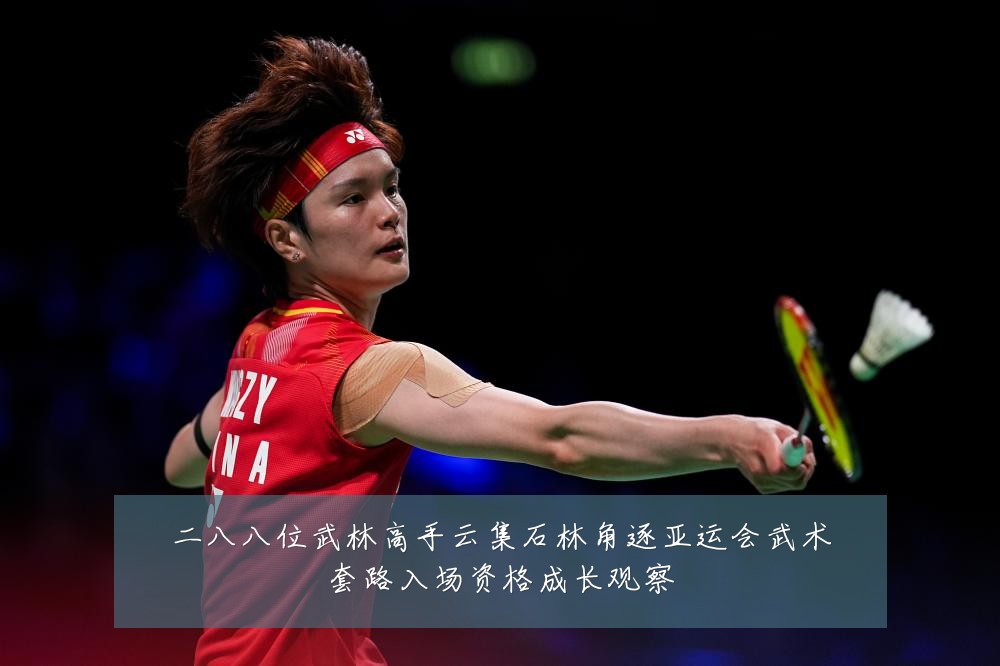 二八八位武林高手云集石林角逐亚运会武术套路入场资格成长观察