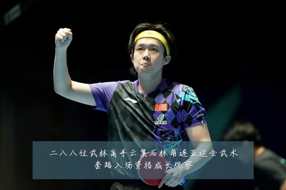 二八八位武林高手云集石林角逐亚运会武术套路入场资格成长观察